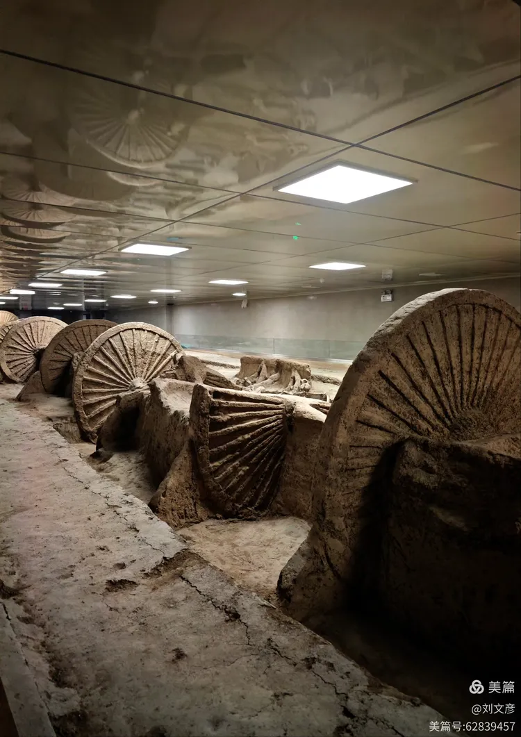 山东 淄博,古车博物馆,春秋殉车马坑遗址,2600年前,中国十大考古发现